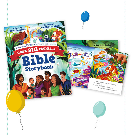 God's Big Promises Bible - Anniversary edition